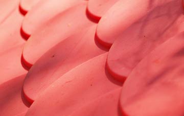 Denstroude plastic roof costs