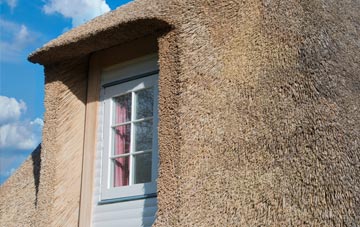 Denstroude thatch roof disadvantages
